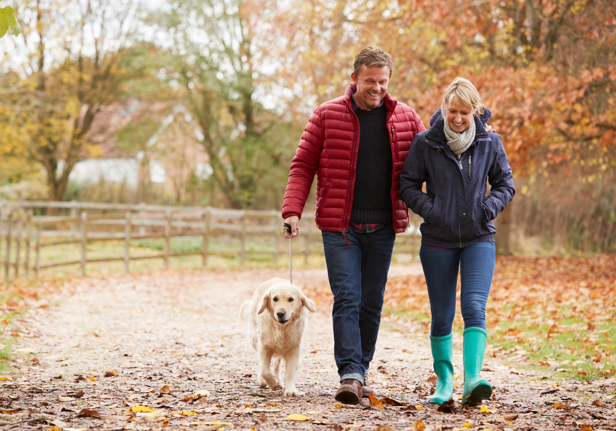 Supporting Energy & Balance This Fall with Thyroid Support