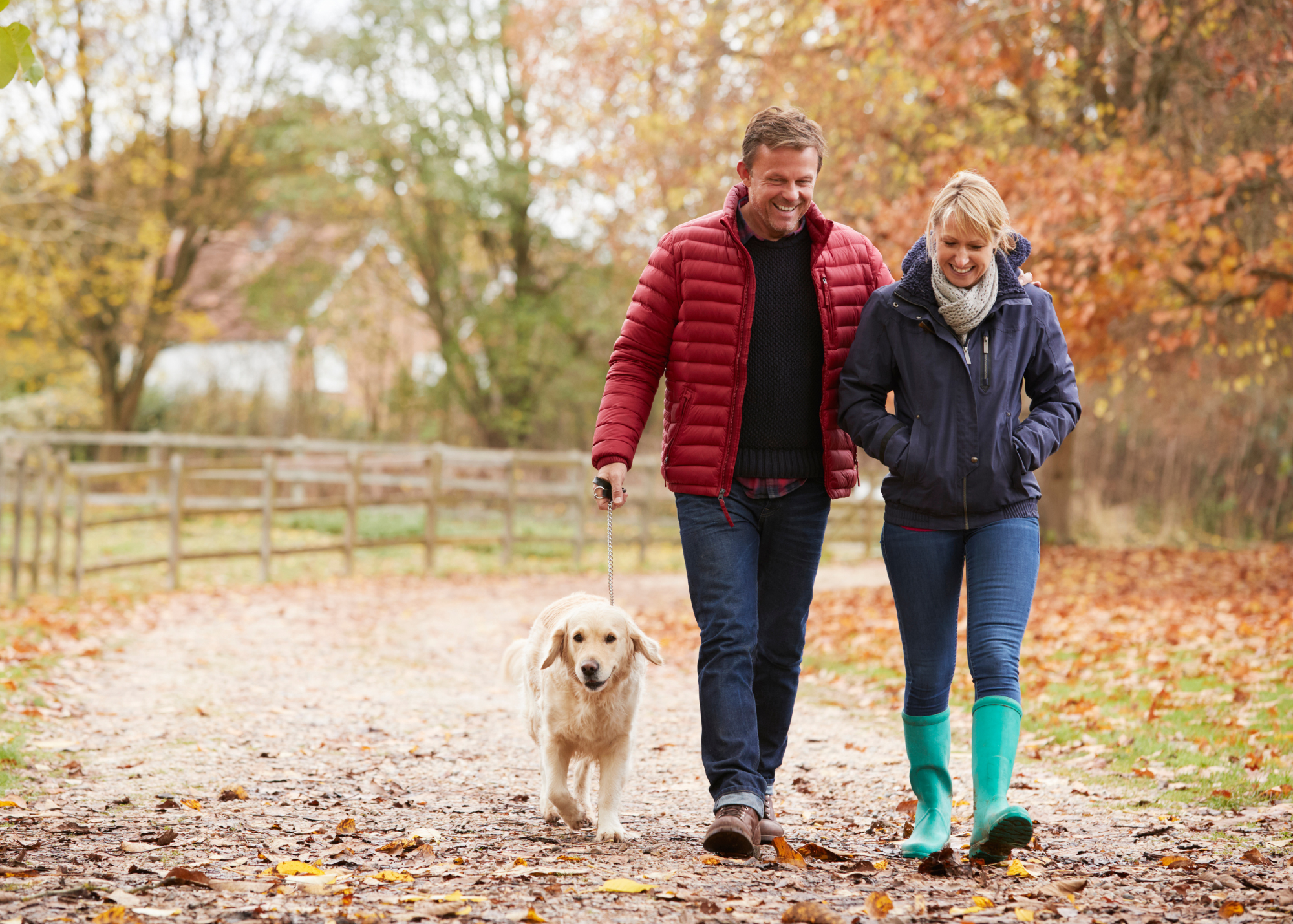Supporting Energy & Balance This Fall with Thyroid Support