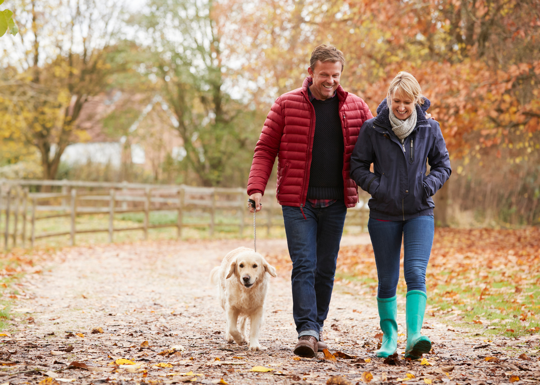 Supporting Energy & Balance This Fall with Thyroid Support