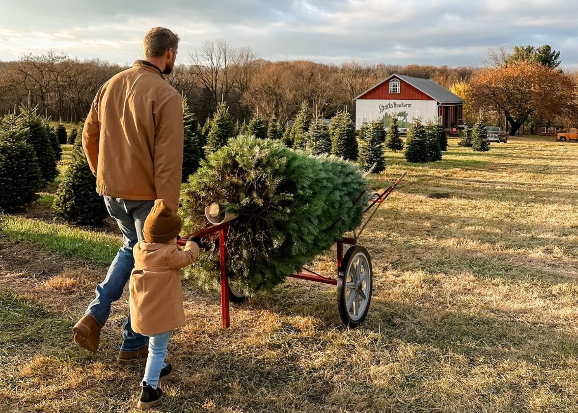 Share a Stronger Immune System with Sinus & Seasonal