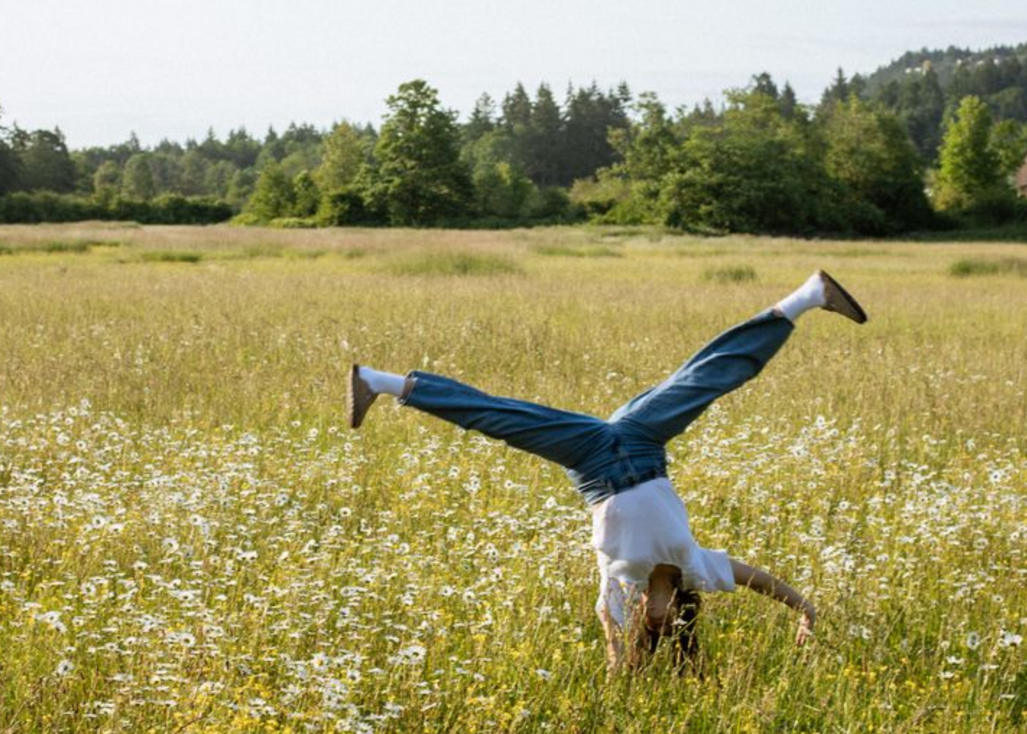 Seasonal Allergy Relief: How to Reduce Sinus Symptoms This Spring