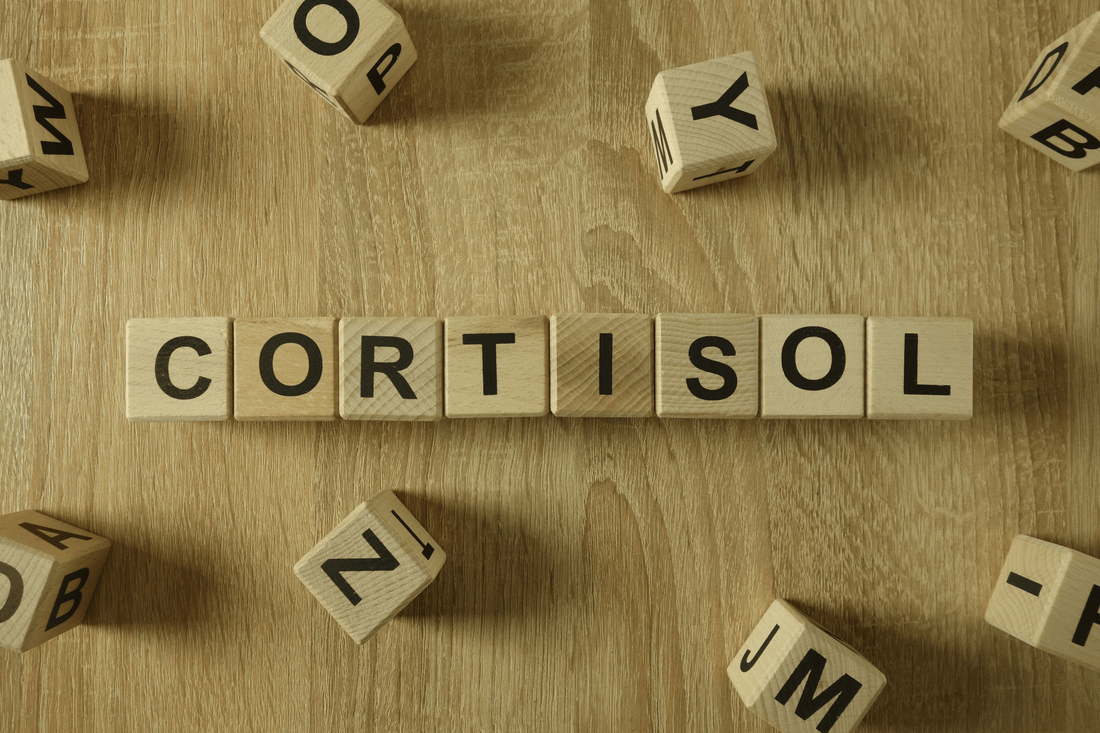 What Is Cortisol? The Complete Guide to Your Stress Hormone