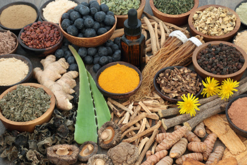 What are Adaptogens?