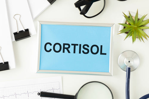 What Roles Does Cortisol Play in the Body?