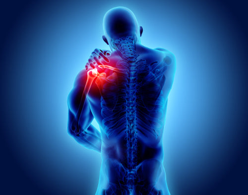 Foods to Fight Inflammation