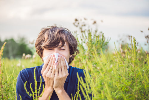 6 Common Home Remedies for Seasonal Allergies