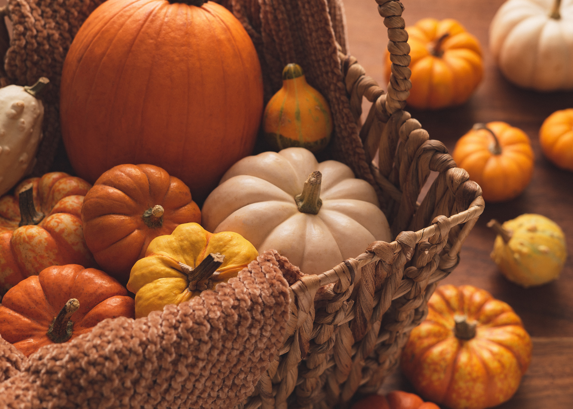 Pumpkins: Health Food in Disguise