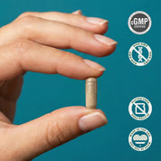 Female Hormone Balance