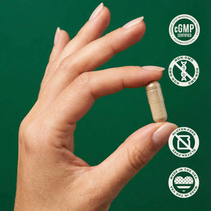Mood Boost | Support Supplement for Stress and Emotional Balance