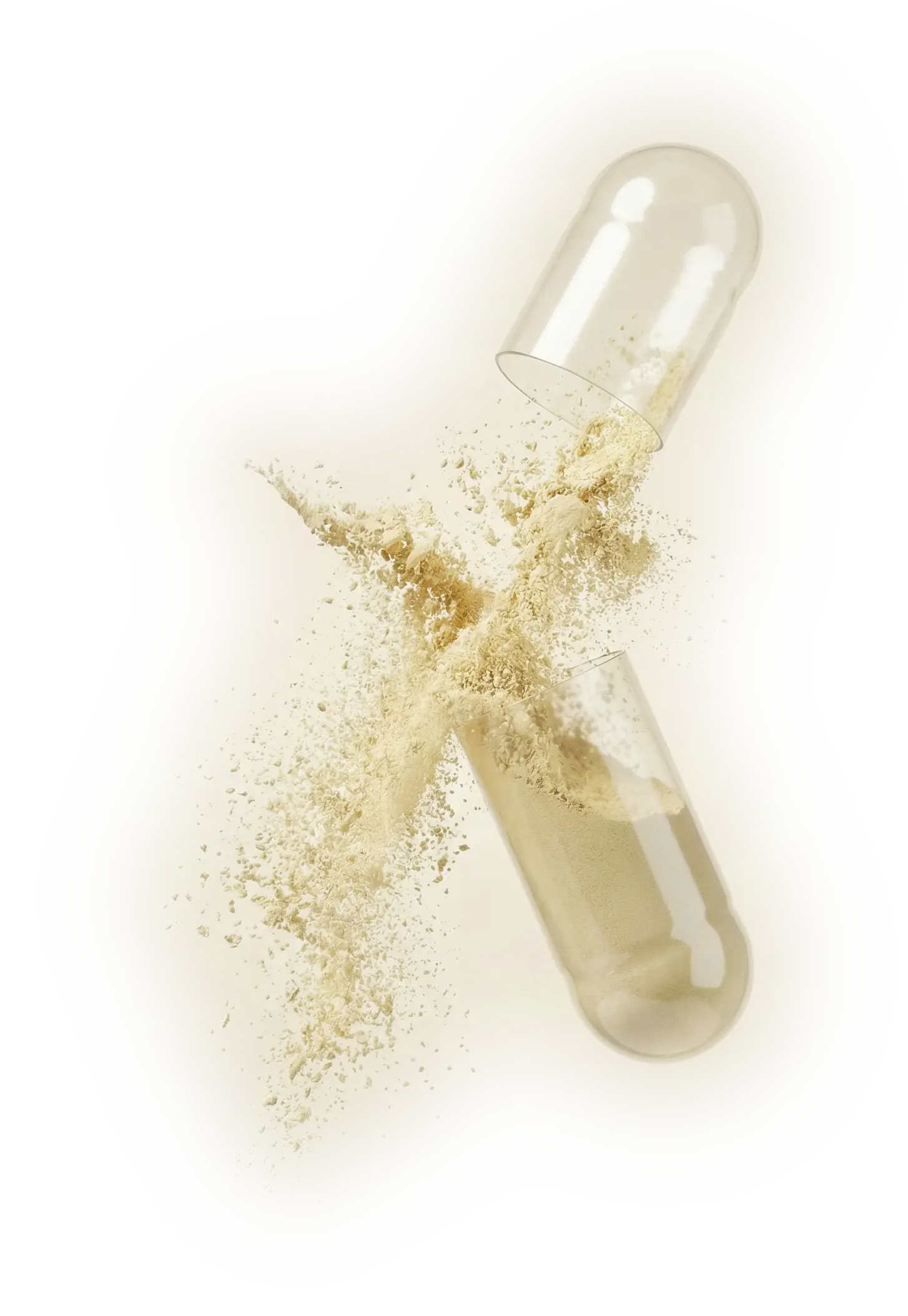 Thyroid wellness supplement pill